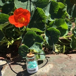 Crystals (Amazonite) In A Bottle Mini